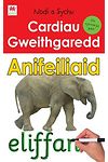 Activity Flashcards: Animals (In Welsh)